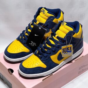 Dunk High Pro SB Michigan