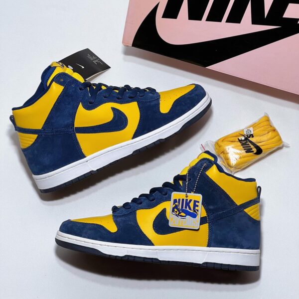 Dunk High Pro SB Michigan