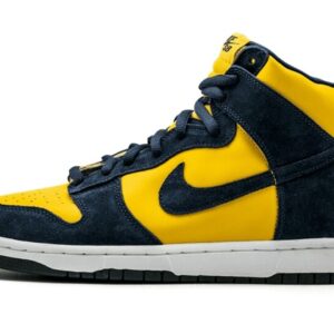 Dunk High Pro SB Michigan