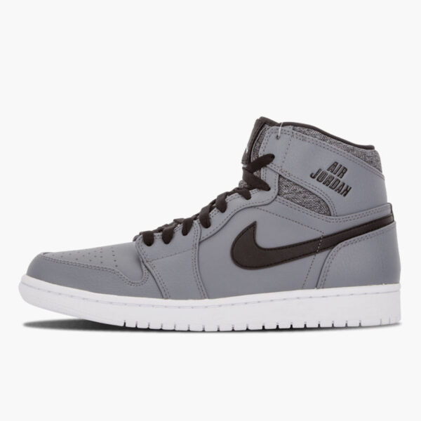 Air Jordan 1 Rare Air (Cool Grey)