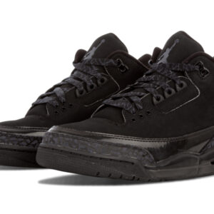 Air Jordan 3 “Black Cat”